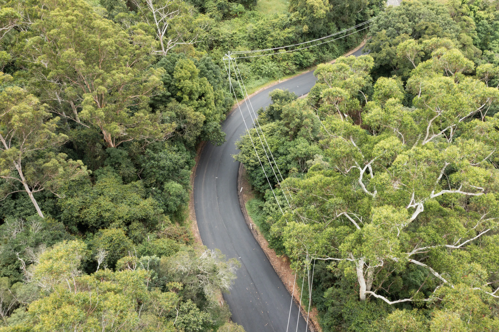Springbok Drive Gold Coast Springbok Road, Neranwood